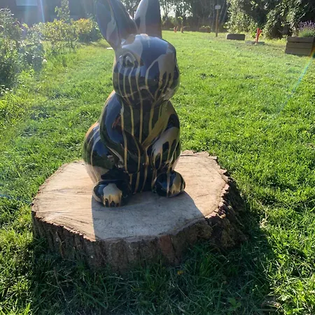 Le Lievre & La Tortue Ferienhaus *